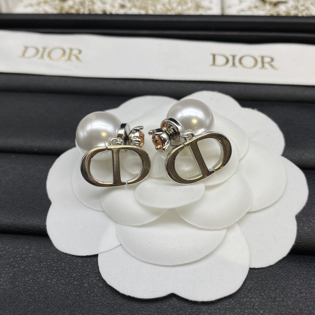 Dior Earrings (13) - www.newkick.org